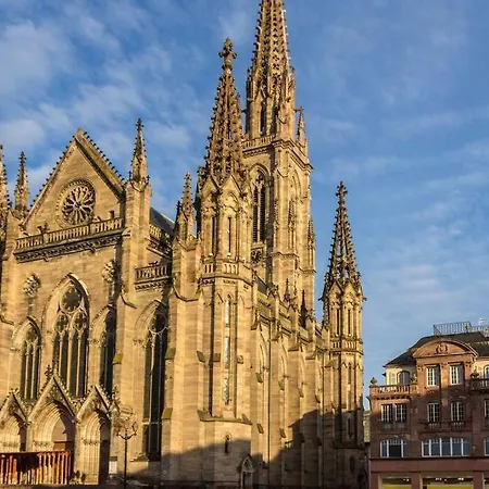 {la Parenthese Heureuse}, Proche Bale, Rhin, Foret *